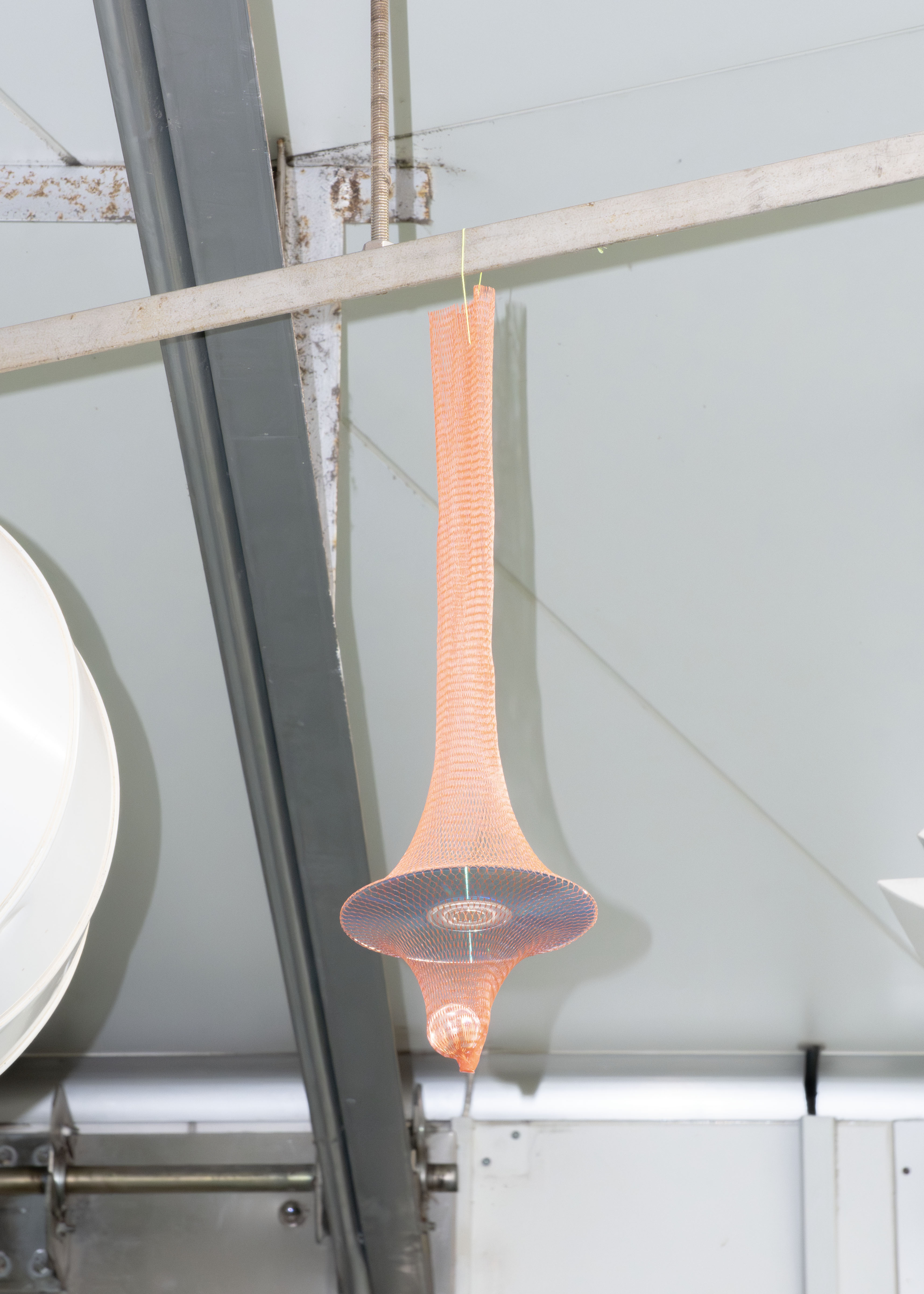 Construction・backyard